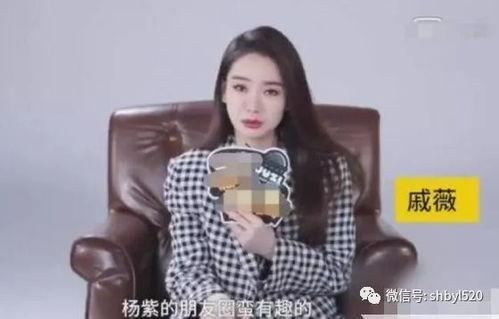 娱乐圈爆料的小号,揭秘明星背后的惊人真相  第2张